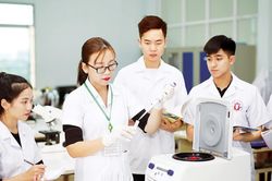 Trường đại học sẽ được tự chủ về tuyển sinh, nhân sự, tài chính
