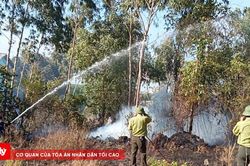 Huế xảy ra 20 điểm ch&aacute;y trong một ng&agrave;y, nhiều vụ tại khu lăng mộ