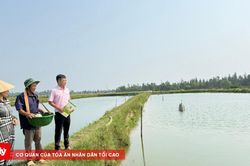 Vốn chính sách mở lối việc làm, tiếp sức người dân Phú Vang