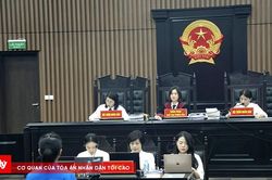 Giám đốc show 'Về đây bốn cánh chim trời' bị tuyên phạt 2 năm tù