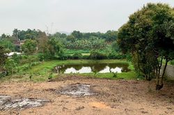 Bộ trả lời việc sổ đỏ ghi đất ao lâu dài, làm thừa kế bị đổi thành đất 50 năm