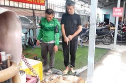 Bắt khẩn cấp hai đối tượng trộm chó liên tiếp trên nhiều địa bàn phường, xã