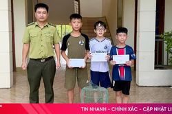 3 học sinh ở phường Thành Sen giao nộp cá thể chim quý hiếm