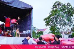 V&agrave;o cao điểm thu hoạch vụ h&egrave; thu, gi&aacute; l&uacute;a tại H&agrave; Tĩnh ra sao?