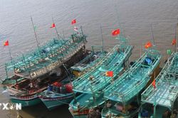 Cà Mau quyết liệt chống khai thác IUU, đã số hóa quản lý toàn bộ tàu cá