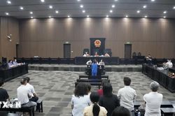 Giám đốc show 'Về đây bốn cánh chim trời' bị phạt 24 tháng tù