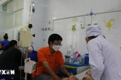 Th&agrave;nh phố Hồ Ch&iacute; Minh hỗ trợ 100% học ph&iacute; đ&agrave;o tạo b&aacute;c sỹ nội tr&uacute;