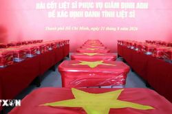 Mùa vu lan 2026 - Từ ơn cha nghĩa mẹ đến sức mạnh cội nguồn
