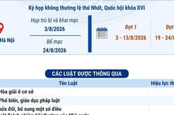 C&aacute;c luật, nghị quyết được th&ocirc;ng qua tại Kỳ họp kh&ocirc;ng thường lệ thứ Nhất, Quốc hội kh&oacute;a XVI
