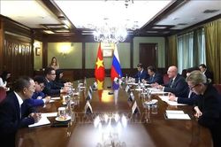 Phó Thủ tướng Nga đề xuất thúc đẩy hợp tác trong các lĩnh vực mới với Việt Nam