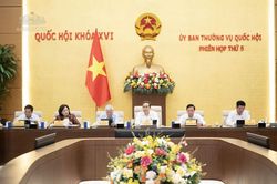 Tháo gỡ điểm nghẽn trong lĩnh vực công nghiệp và thương mại, bảo vệ người tiêu dùng