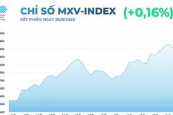 Thị trường hàng hóa thế giới tiếp tục biến động, MXV-Index trở lại vùng 2.900 điểm