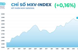 Thị trường hàng hóa thế giới tiếp tục biến động, MXV-Index trở lại vùng 2.900 điểm