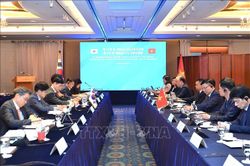 Việt Nam - Hàn Quốc thúc đẩy hợp tác trong các lĩnh vực kinh tế trọng điểm