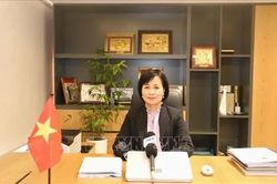 Kết nối tri thức - Kiến tạo nhân tài - Bài 2: Thiết lập hệ sinh thái giáo dục