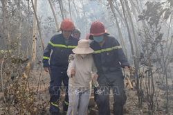Giải cứu hai người mắc kẹt tr&ecirc;n đỉnh n&uacute;i trong vụ ch&aacute;y rừng ở Quy Nhơn