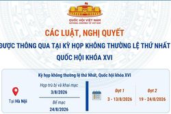 Các luật, nghị quyết được thông qua tại Kỳ họp không thường lệ thứ Nhất, Quốc hội khóa XVI