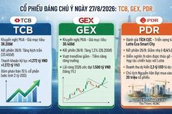 Khuyến nghị cổ phiếu 27/8: Tiềm năng lớn từ TCB, GEX, PDR