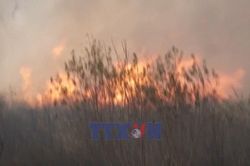 Thời tiết cực đoan buộc châu Âu phải tăng nhiều chi phí