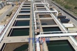 Israel ứng dụng nông nghiệp công nghệ cao trên vùng đất khô cằn