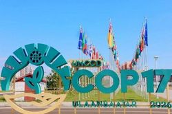 COP17: Mở rộng nguồn vốn cho c&aacute;c giải ph&aacute;p th&iacute;ch ứng dựa v&agrave;o hệ sinh th&aacute;i