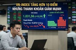 VN-Index tăng hơn 10 điểm nhưng thanh khoản giảm mạnh