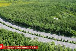 TP.HCM chuyển 29 xã thành phường
