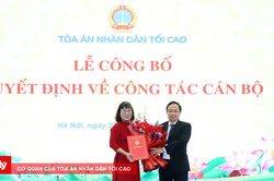 Trao Quyết định bổ nhiệm Ph&oacute; Vụ trưởng Vụ Ph&aacute;p chế v&agrave; Quản l&yacute; khoa học TANDTC