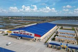 Cuộc chơi mới của ‘vua tôm giống’ Việt Úc
