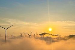 Nhiều nhà đầu tư điện gió rơi vào cảnh 'tiến thoái lưỡng nan'