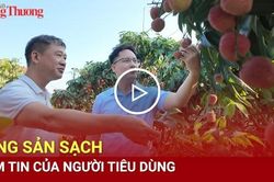 Nông sản sạch - Niềm tin của người tiêu dùng