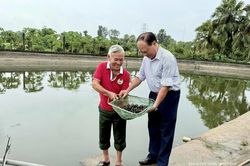 Lão nông thất thập và khát vọng vươn lên làm giàu