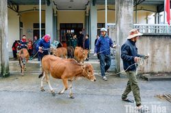 T&igrave;m giải ph&aacute;p giảm ngh&egrave;o bền vững ở Trung L&yacute;