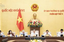 Sửa đổi 4 luật thuộc lĩnh vực Công Thương: Tháo gỡ điểm nghẽn, đẩy mạnh phân cấp