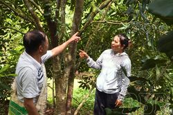 Tuần Gi&aacute;o chuyển dịch cơ cấu, n&acirc;ng gi&aacute; trị n&ocirc;ng nghiệp