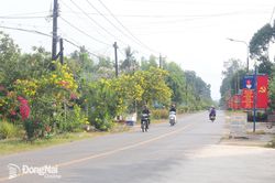 Củ chụp ấm tình dân - quân