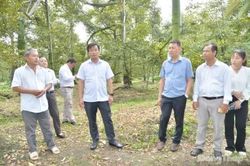 Đồng chí Nguyễn Phước Thiện khảo sát mô hình Sầu riêng khắc phục Cadimi và các dự án