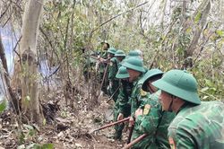 120 cán bộ, chiến sĩ tham gia chữa cháy rừng phòng hộ tại phường Quy Nhơn Nam