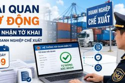 Hải quan tự động xác nhận tờ khai cho doanh nghiệp chế xuất từ ngày 9-9