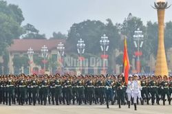 Sĩ quan nghỉ hưu trước tuổi: Các trường hợp nào được trợ cấp 5 tháng lương/năm?