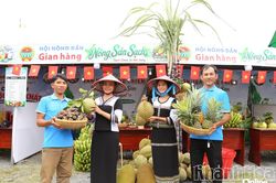 Xã Đông Khánh Sơn: Thu hút doanh nghiệp đầu tư chế biến nông sản