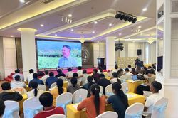 Hơn 80 đại biểu tìm hiểu về thực trạng, giải pháp canh tác cây sầu riêng theo hướng bền vững