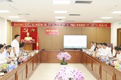 Đoàn Kiểm tra, giám sát số 234 của Bộ Chính trị, Ban Bí thư làm việc với Ban Tổ chức Tỉnh ủy