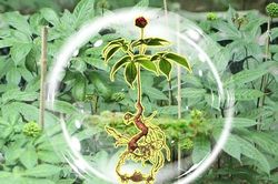 Đưa 'quốc bảo' Việt Nam vươn tầm