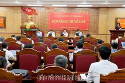 Hội nghị chuyên đề Ban Chấp hành Đảng bộ tỉnh khoá XV, nhiệm kỳ 2025-2030