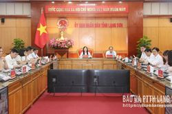 Tổng kết năm học 2025 - 2026, triển khai nhiệm vụ năm học 2026 - 2027