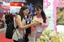 Lạng Sơn mang “Dấu ấn miền biên, sắc màu Xứ Lạng” quảng bá tại ITE HCMC 2026