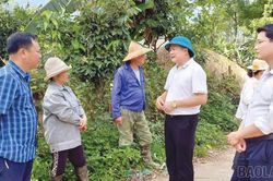 Bước chuyển từ &ldquo;học tập&rdquo; đến &ldquo;thực h&agrave;nh&rdquo; trước y&ecirc;u cầu ph&aacute;t triển mới