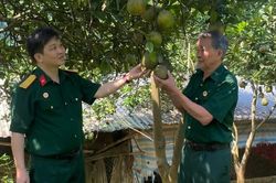 Cựu chiến binh phát triển kinh tế gắn với sinh kế cộng đồng