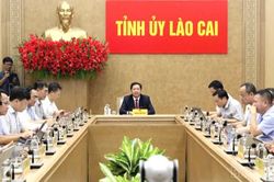 Lào Cai tham dự Hội nghị trực tuyến tập huấn chuyên đề về ứng dụng trí tuệ nhân tạo và phát triển kinh tế số